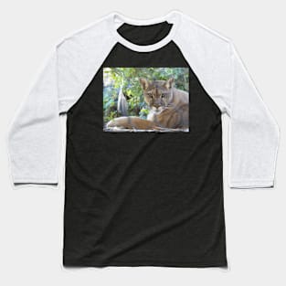 Female Mountain Lion Baseball T-Shirt